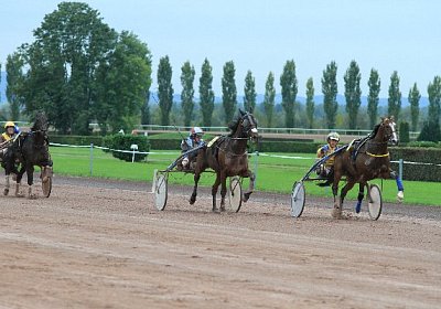 Prince IMG 4880 600x400