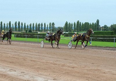 Prince IMG 4885 600x400