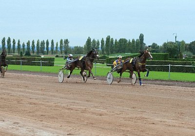 Prince IMG 4886 600x400