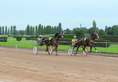 Prince IMG 4887 600x400