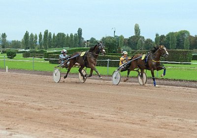 Prince IMG 4888 600x400