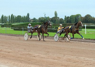 Prince IMG 4889 600x400