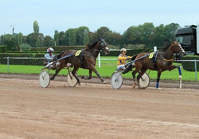 Prince IMG 4892 600x400