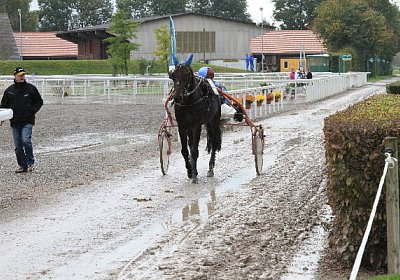 Tsar Philippe IMG 4118 600x400...