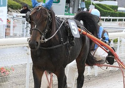 Tsar Philippe IMG 4118 600x400...