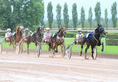 Tsar Philippe IMG 4118 600x400...