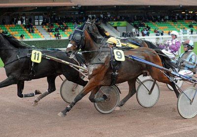 uw 09 03 prince du chevrel [80...