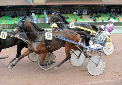 uw 09 04 prince du chevrel [80...