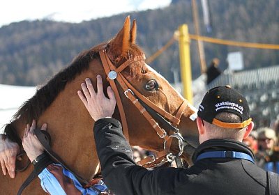 IMG 0219 600x400