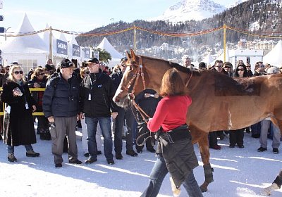 IMG 0228.9 600x400