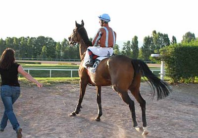 cm Bambi IMG 0480