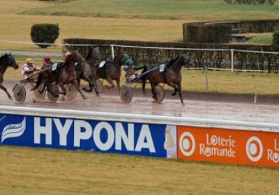 uw 04 05 noceen de digeon etc ...