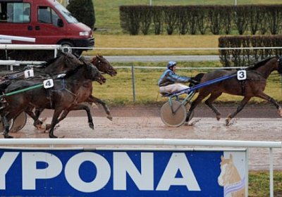 uw 04 10 noceen de digeon etc ...