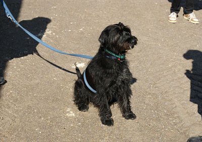 Belgino etc Avenches 8april14 DSC03875