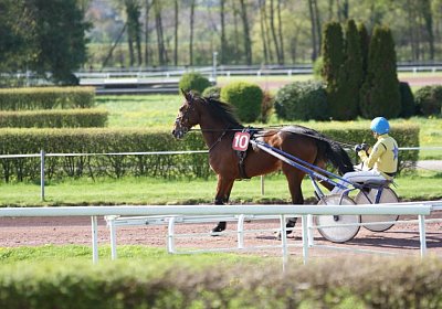 Belgino etc Avenches 8april14 DSC03918
