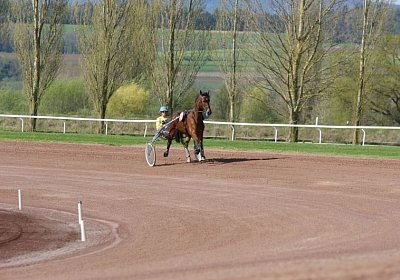 Belgino etc Avenches 8april14 DSC03930