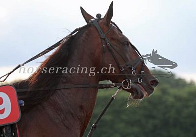 bf 04 10 playboy wind
