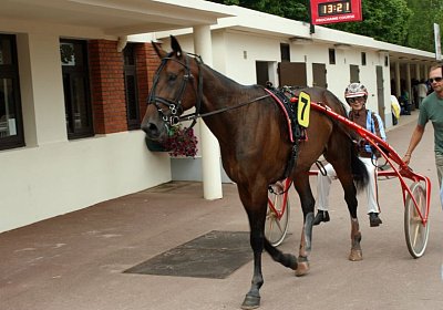 nv playboy enghien DSC01007