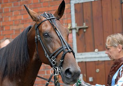 nv playboy enghien DSC01019