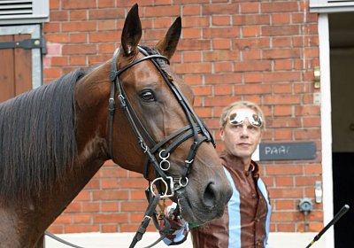 nv playboy enghien DSC01023