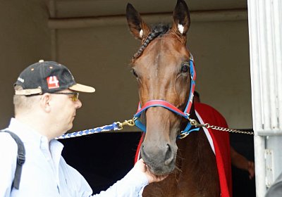 nv playboy enghien DSC01031