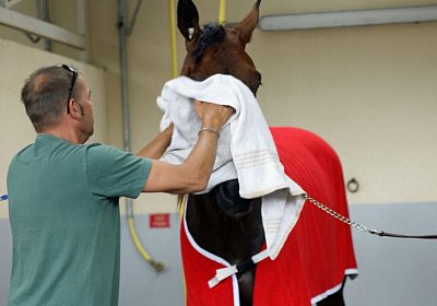 nv playboy enghien DSC01067