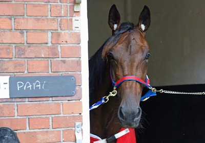 nv playboy enghien DSC01071