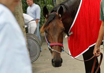 nv playboy enghien DSC01076