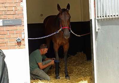 nv playboy enghien DSC01210