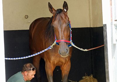 nv playboy enghien DSC01211