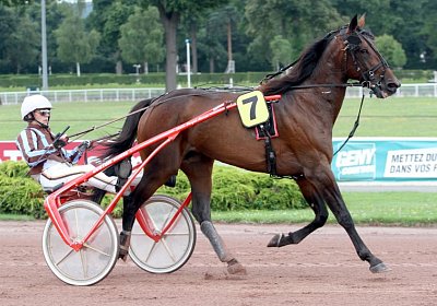 zz daniel palmeri Enghien 12juli14 PLAYBOY WIND (1)