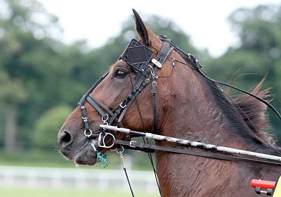 zz daniel palmeri Enghien 12juli14 PLAYBOY WIND (2)