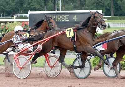 zz daniel palmeri Enghien 12juli14 PLAYBOY WIND (3)
