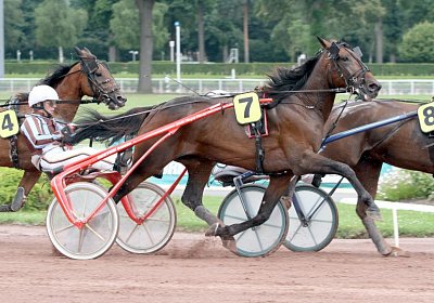 zz daniel palmeri Enghien 12juli14 PLAYBOY WIND (5)