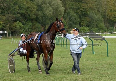 nv 04 03 belgino