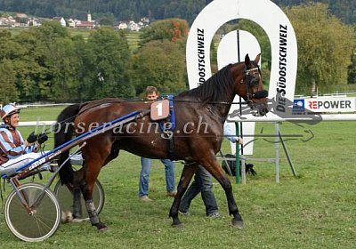 nv 04 04 belgino