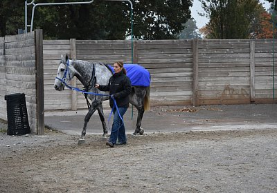 B pk Remedial Abschied 021