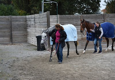 Remedial Abschied 132