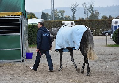 Remedial Abschied 146