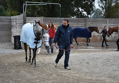 Remedial Abschied 155