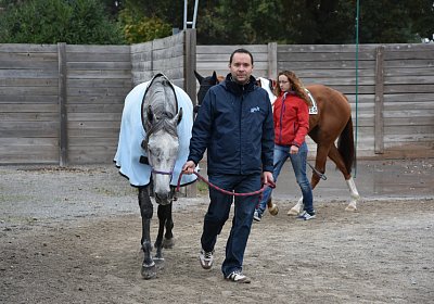 Remedial Abschied 161