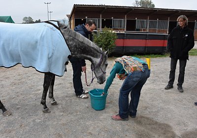 Remedial Abschied 163