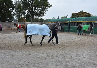 Remedial Abschied 169