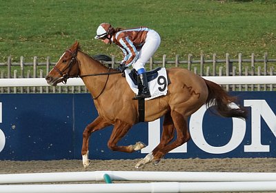 160118 0117 Kugelblitz