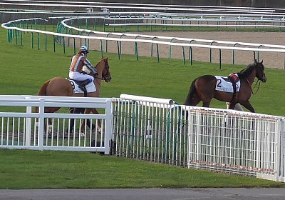 S1420012 Kugelblitz 18jan16 Chantilly