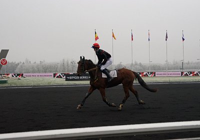 2017 01 01 Vincennes Vancouver b1 DSC08528