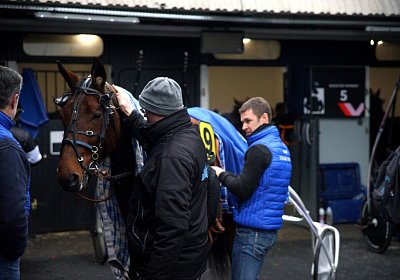 2017 01 01 Vincennes Vancouver hb DSC08678