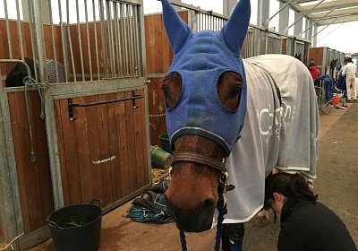 Cagnes VancouverS1800073A