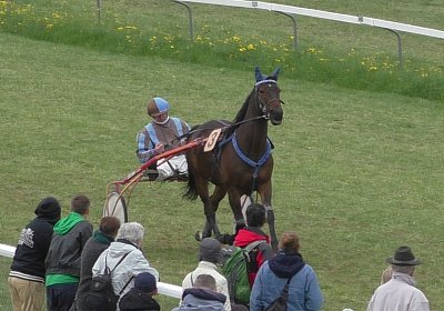 S1860003 Rebel