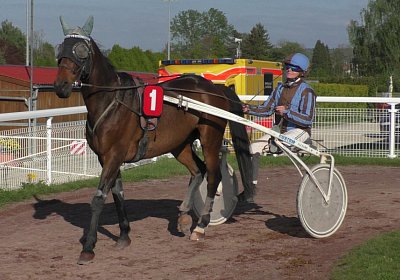 Rebel Patricia S1880021